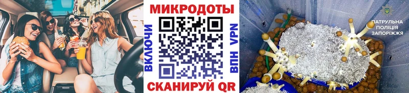 OMG ссылка  Армянск  Галлюциногенные грибы мицелий  дарнет шоп 